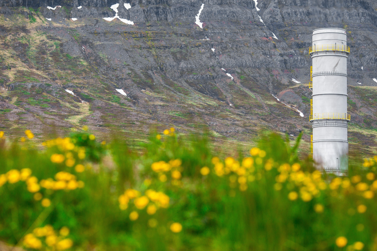 Endurheimta 60 hektara votlendi í Reyðarfirði